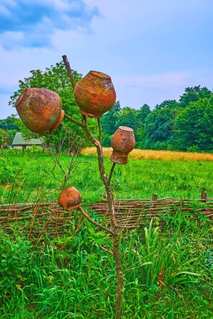 Foto de Las ollas de arcilla vintage, colgando en el pequeño árbol contra el exuberante prado verde, Chernivtsi scansen, Ucrania - Imagen libre de derechos
