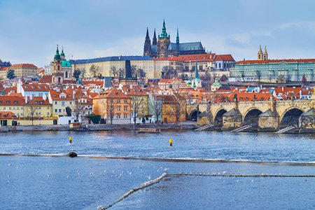 Téléchargez les photos : Les mouettes sur la rivière Vltava contre le pont Charles et la cathédrale Saint-Vitus, Prague, Tchéquie - en image libre de droit