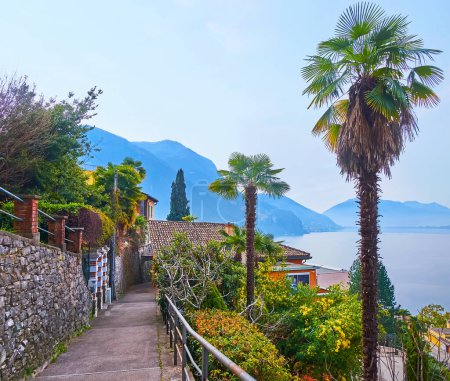 Photo for The morning in village on Monte Bre slope with lush green gardens and a view on Lake Lugano, Castagnola, Lugano, Switzerland - Royalty Free Image