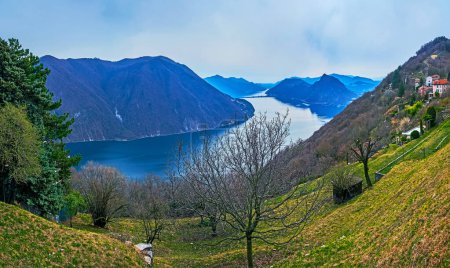Téléchargez les photos : Profitez du panorama depuis Monte Bre, observant les pentes verdoyantes avec jardins et forêts, Ceresio et montagnes, Lugano, Suisse - en image libre de droit
