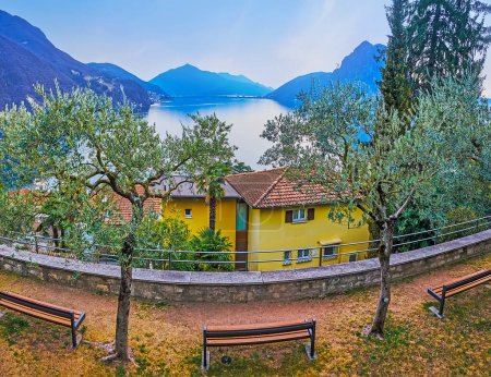 Téléchargez les photos : Oliviers dans le parc de Castagnola contre le lac Lugano et les Alpes du soir, Tessin, Suisse - en image libre de droit