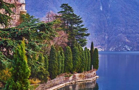 Téléchargez les photos : Les grands cyprès le long de la rive du Ceresio dans le parc Sportino Epico, Lugano, Suisse - en image libre de droit