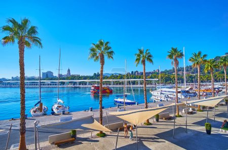 Téléchargez les photos : Muelle Uno avec de hauts palmiers et une vue sur les yachts et bateaux à Malaga Port, Espagne - en image libre de droit