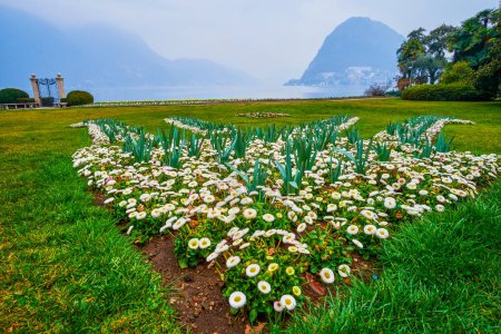 Flowerbed of white daisies in lakeside Parco Ciani, Lugano, Switzerland