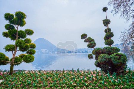 Arbustos recortados y parterres en el lago Parco Ciani, Lugano, Suiza