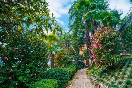 Photo for The garden in Park Villa Heleneum on Lake Lugano, Lugano, Switzerland - Royalty Free Image