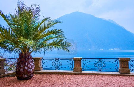 Photo for Park Villa Heleneum on the bank of Lake Lugano, Lugano, Switzerland - Royalty Free Image
