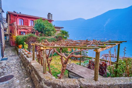 Téléchargez les photos : Terrasse avec petit vignoble avec vue exceptionnelle sur le lac de Lugano à Gandria, Suisse - en image libre de droit