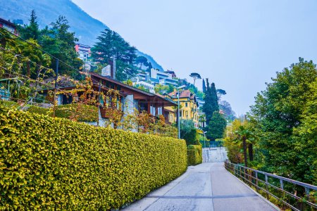 Téléchargez les photos : Quartier résidentiel avec maisons vivantes de Castagnola ville, Lugano, Suisse - en image libre de droit