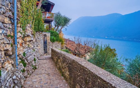 Olive Tree Trail along Lake Lugano leading to medival lakeside Gandria village, Switzerland