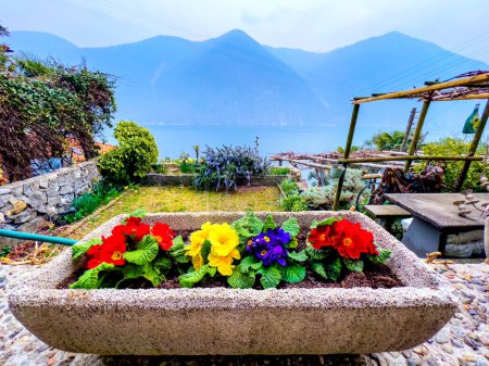Violettes en fleurs dans un pot en pierre sur le jardin au-dessus du lac de Lugano à Gandria, Suisse
