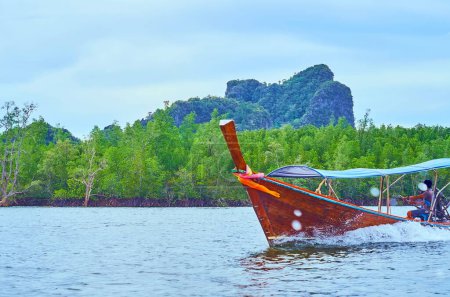 Foto de El barco de cola larga rápido y estrecho es un transporte perfecto para observar los bosques de manglares del Parque Nacional Ao Phang Nga, Tailandia - Imagen libre de derechos
