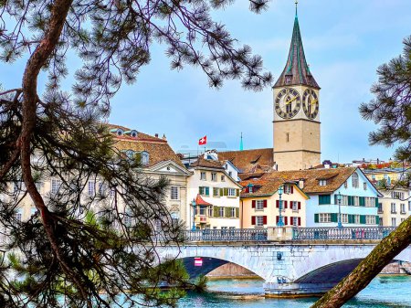 Téléchargez les photos : La superbe église Peterskirche encadrée par les branches de pins offre une vue captivante à Zurich, en Suisse. - en image libre de droit