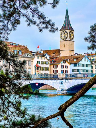 The stunning Peterskirche church framed by the pine tree branches offers a captivating view in Zurich, Switzerland.