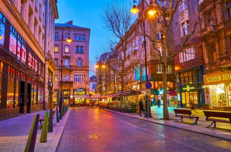 Téléchargez les photos : BUDAPEST, HONGRIE - 3 MARS 2022 : La célèbre rue touristique Vaci dans les lumières du soir, Budapest, Hongrie - en image libre de droit