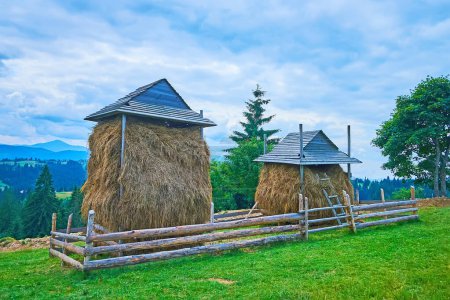 The brown stacks of hay under the old wooden roofs, Mountain Valley Peppers (Polonyna Pertsi), Ukraine