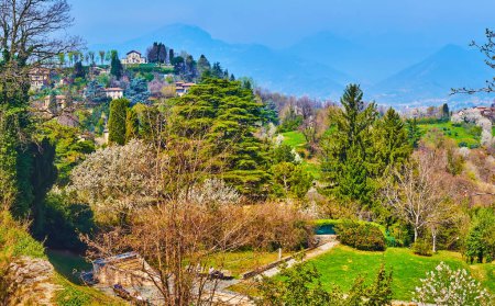 Monte Bastia with vintage houses and green gardens behind the spruces and blooming spring trees on the slope of San Vigilio Hill, Bergamo, Italy