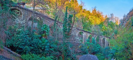 Der üppig grüne Park am Berghang mit dem historischen Viadukt von Locarno - Standseilbahn Madonna del Sasso, Orselina, Schweiz