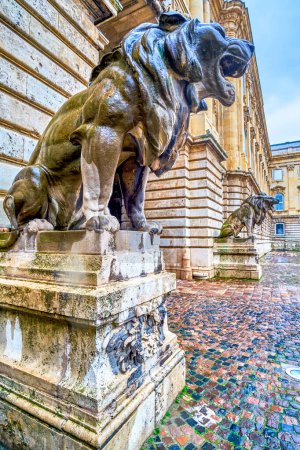 Le Lion rugissant à la Porte Arquée de la Cour des Lions au Château de Buda, Budapest, Hongrie