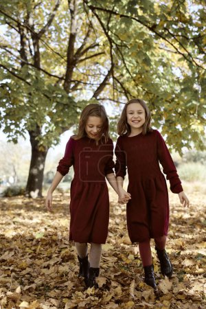 Téléchargez les photos : Filles jumelles caucasiennes marchant ensemble le parc - en image libre de droit