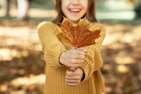 Photo for Caucasian girl standing in the woods and holding yellow leaves - Royalty Free Image
