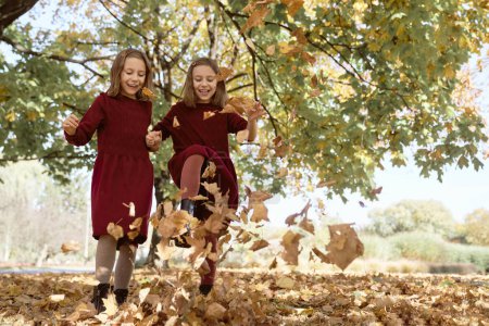Photo for Caucasian child siblings having fun in the woods with autumn leaves - Royalty Free Image