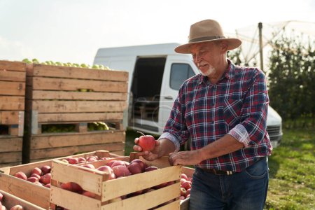 Foto de Hombre mayor de pie junto a una gran caja llena de manzanas - Imagen libre de derechos
