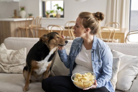 Téléchargez les photos : Femme enceinte manger des chips et jouer avec un chien - en image libre de droit