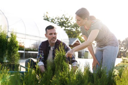 Foto de Trabajador asesorando al cliente sobre plantas en el centro de jardinería - Imagen libre de derechos