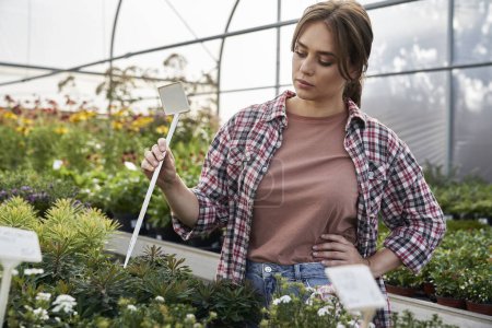 Téléchargez les photos : Travailleur de jardin féminin mettre étiquette vide dans la boîte à fleurs - en image libre de droit