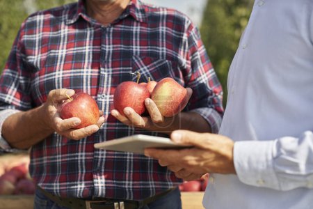 Téléchargez les photos : Gros plan de l'agriculteur et représentant des ventes parlant sur tablette numérique sur verger de pommes - en image libre de droit