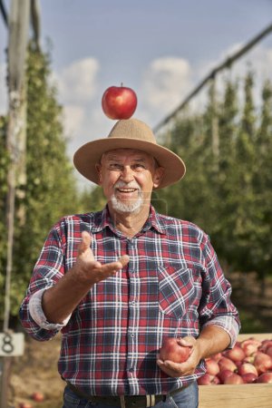 Téléchargez les photos : Fermier âgé jetant une pomme - en image libre de droit