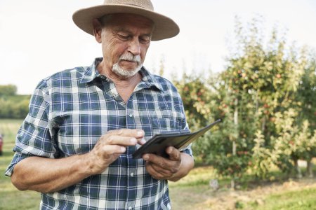 Téléchargez les photos : Fermier âgé naviguant sur son téléphone portable debout sur la ferme de pommes - en image libre de droit