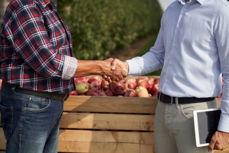 Foto de Transacción exitosa entre agricultor senior y representante de ventas en huerto de manzanas - Imagen libre de derechos