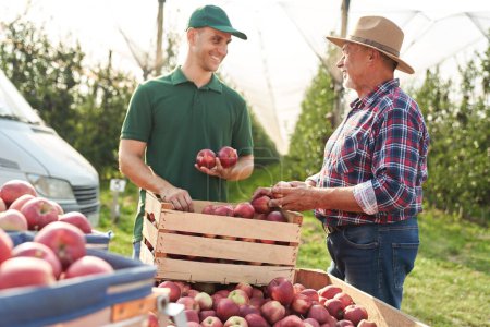 Photo for Orchard senior farmer and sales representative chatting over box full of apples - Royalty Free Image