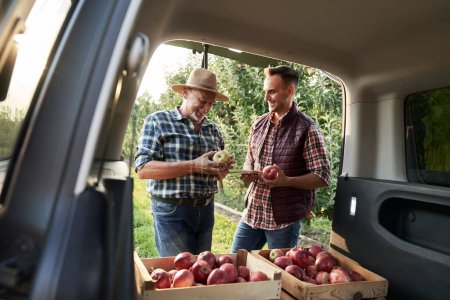 Photo for Two orchard farmers standing next to a car with boxes full of apples - Royalty Free Image