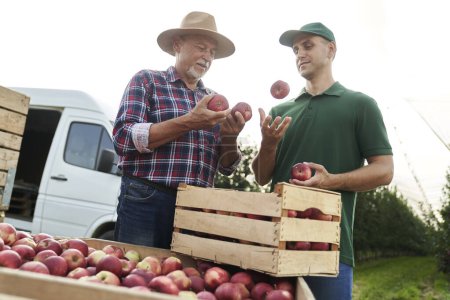 Foto de Huerto agricultor senior y representante de ventas charlando sobre caja llena de manzanas - Imagen libre de derechos