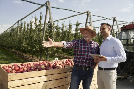 Téléchargez les photos : Agriculteur senior et représentant des ventes parler sur tablette numérique sur verger de pommes - en image libre de droit