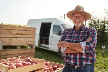 Téléchargez les photos : Portrait d'un homme âgé debout à côté d'une grande boîte pleine de pommes - en image libre de droit