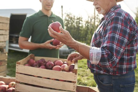 Foto de Huerto agricultor senior y representante de ventas charlando sobre caja llena de manzanas - Imagen libre de derechos