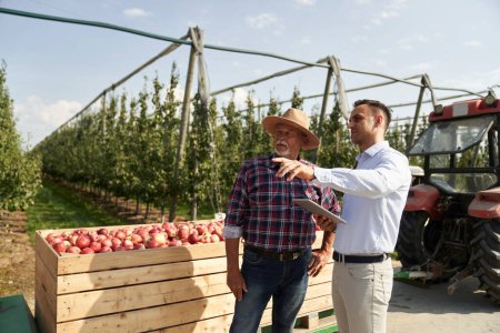 Foto de Agricultor senior y representante de ventas hablando a través de tableta digital en huerto de manzanas - Imagen libre de derechos