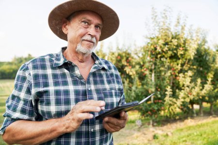 Téléchargez les photos : Fermier âgé naviguant sur son téléphone portable debout sur la ferme de pommes - en image libre de droit