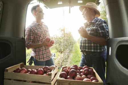 Foto de Dos agricultores de huerta de pie junto a un coche con cajas llenas de manzanas - Imagen libre de derechos