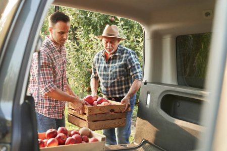Foto de Dos hombres llevando una caja llena de manzanas al coche - Imagen libre de derechos