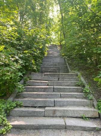 Téléchargez les photos : Paysage de longs escaliers sinueux dans la ville, de longues marches en pierre iin un parc menant à une colline - en image libre de droit