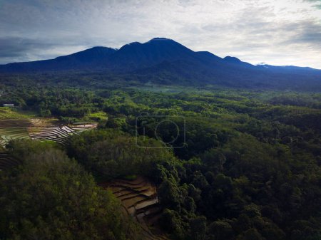 Photo for Indonesian morning view, green tropical forest and bright sunrise over the mountain - Royalty Free Image