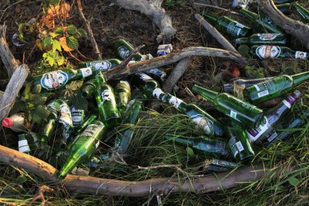 Foto de Un bosque lleno de botellas de alcohol Zakopane, Polonia. - Imagen libre de derechos