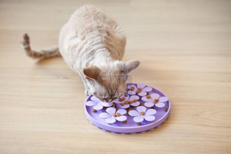 Interactive Cat Toy Slow Feeder- IQ Training Toy, Treat Boredom Dispensing Refillable for domestic cats. Entertaining, mental challenges game. Slow feeder for felines or small dogs from silicone material easy to wash.