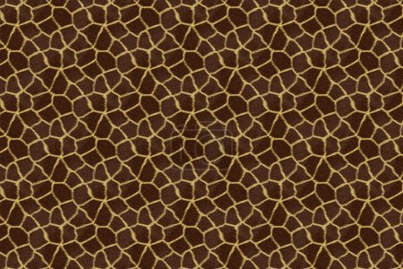 Photo for African animal fur skin pattern surface texture - Royalty Free Image