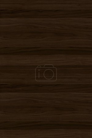 Foto de Nogal madera árbol madera fondo textura estructura superficie telón de fondo - Imagen libre de derechos